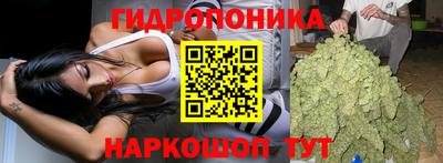 меф Кимры