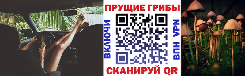 магазин Курчатов Галлюциногенные грибы мицелий