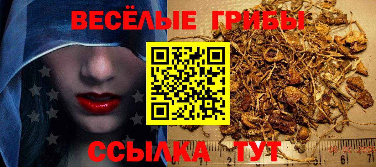 Галлюциногенные грибы MAGIC MUSHROOMS  Вход с VPN  Галлюциногенные грибы ЛСД  Курчатов 