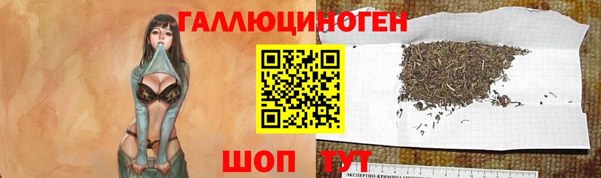 Псилоцибиновые грибы мицелий Курчатов