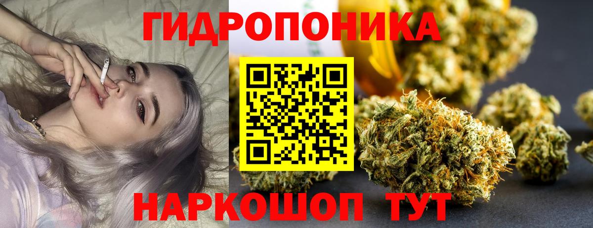 Бошки Шишки Amnesia Курчатов